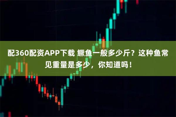 配360配资APP下载 鳜鱼一般多少斤?这种鱼常见重量是多少,你知道吗!