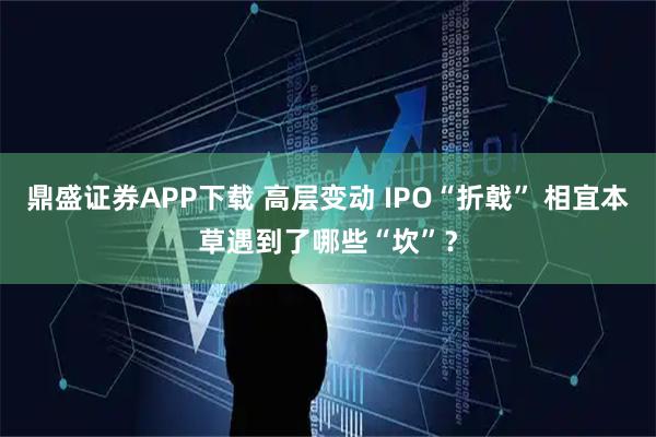 鼎盛证券APP下载 高层变动 IPO“折戟” 相宜本草遇到了哪些“坎”？